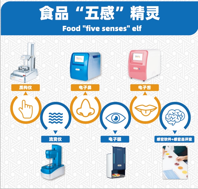 5全類