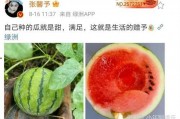 今日娛樂圈有什么瓜可以吃,揭秘今日熱點事件