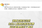 吃瓜娛樂群,揭秘娛樂圈背后的故事與八卦